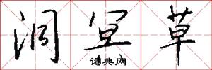 洞冥草怎么写好看