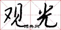观光怎么写好看