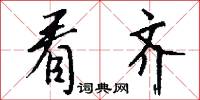 看齐怎么写好看