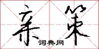 亲策怎么写好看