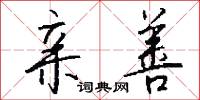 亲善怎么写好看