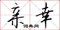 亲幸怎么写好看