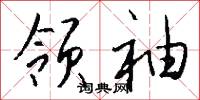 领袖怎么写好看