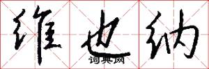 维也纳怎么写好看