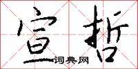 宣哲怎么写好看