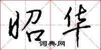 昭华怎么写好看
