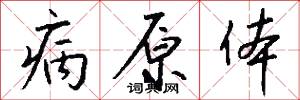 病原体怎么写好看