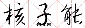 核子能怎么写好看