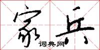 家兵怎么写好看