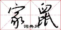家鼠怎么写好看