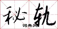 秘轨怎么写好看