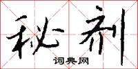 秘剂怎么写好看