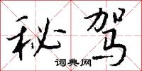 秘驾怎么写好看