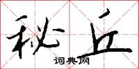 秘丘怎么写好看