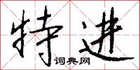 特进怎么写好看