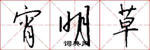 宵明草怎么写好看