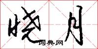 晓月怎么写好看