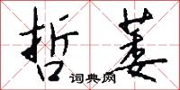 哲萎怎么写好看