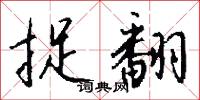 捉翻怎么写好看