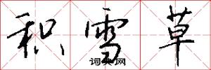 积雪草怎么写好看