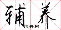 辅养怎么写好看