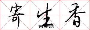 寄生香怎么写好看