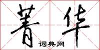 菁华怎么写好看