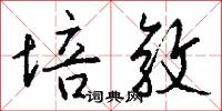 培敦怎么写好看