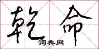 乾命怎么写好看