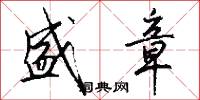 盛章怎么写好看