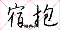 宿抱怎么写好看