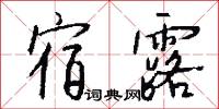 宿露怎么写好看