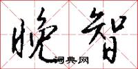 晚智怎么写好看