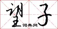 望子怎么写好看
