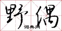 野偶怎么写好看