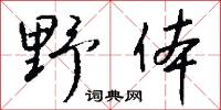 野体怎么写好看