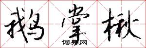 鹅掌楸怎么写好看