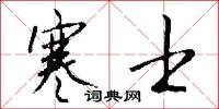寒士怎么写好看