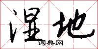 湿地怎么写好看