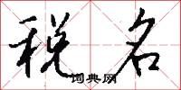 税名怎么写好看