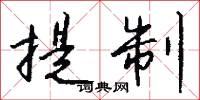 提制怎么写好看