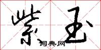 紫玉怎么写好看