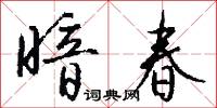 暗春怎么写好看