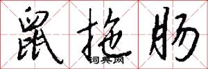 鼠拖肠怎么写好看