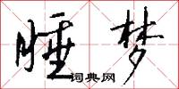睡梦怎么写好看