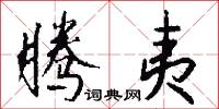 腾夷怎么写好看