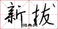 新拔怎么写好看