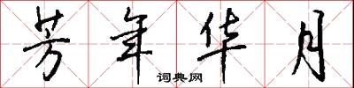 芳年华月怎么写好看