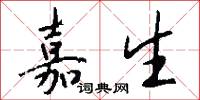 嘉生怎么写好看