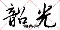 韶光怎么写好看